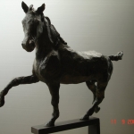 DSC01083.JPG