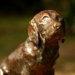 Labrador-Bob.jpg