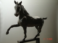 DSC01083.JPG