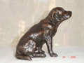 DSC01584.jpg