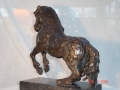 DSC01793.jpg