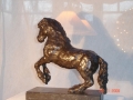DSC01815.jpg