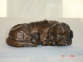 DSC01851.jpg