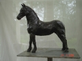 DSC02469.JPG
