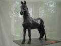 DSC02471.JPG