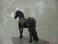 DSC02486.JPG