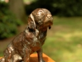 Labrador-Bob3.jpg