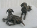 honden0060.jpg