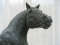 meer paarden0004.jpg