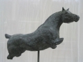 meer paarden0028.jpg