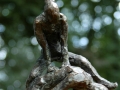 Bok-Springers.jpg