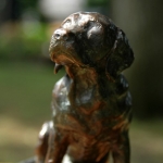 Labrador-Bob2.jpg