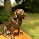 Labrador-Bob3.jpg